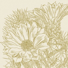Graphic Cactus Bloom I