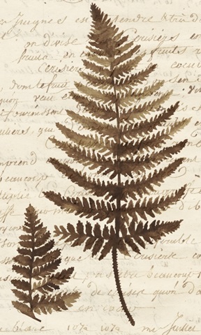 Ferns & Ledgers I