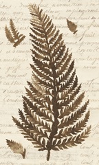 Ferns & Ledgers II