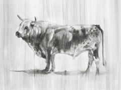 Rustic Bovine II