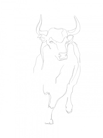 Bull Contour I