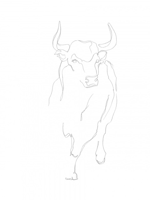 Bull Contour I