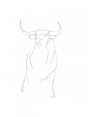 Bull Contour II