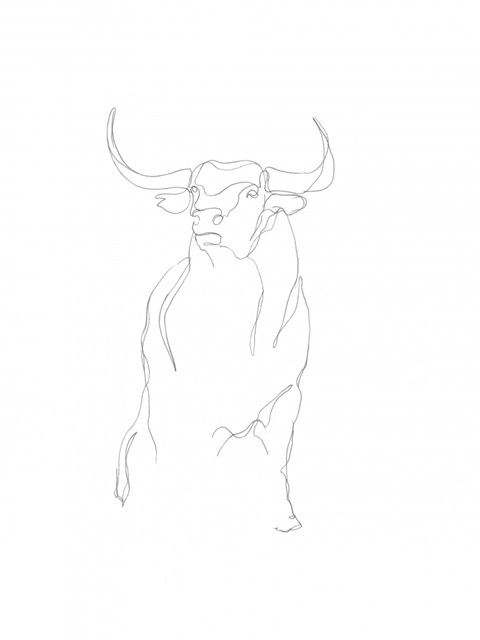 Bull Contour II