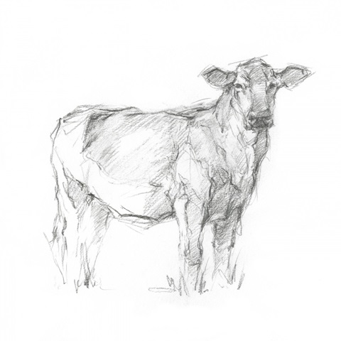 Bovine Study I