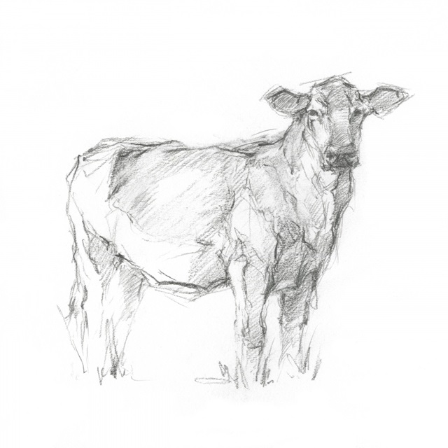 Bovine Study I