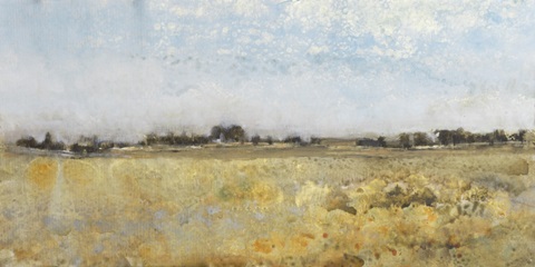 Harvest Field I