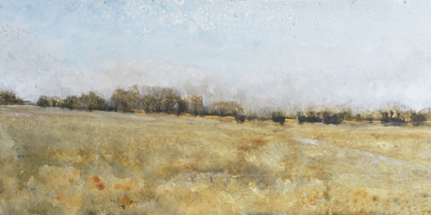 Harvest Field II