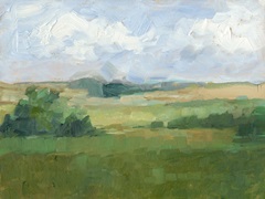 Afternoon Shade I