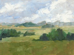 Afternoon Shade II