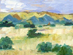 Western Valley II