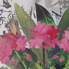 Poolside Geraniums  I