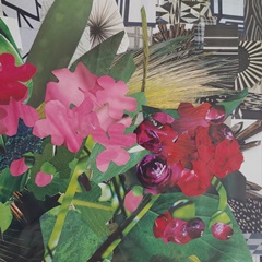 Poolside Geraniums  II