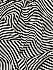 Black White Bold and Bright I