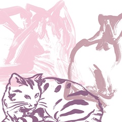 Paint Box Cats I