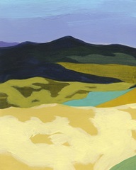 Sun Dappled Mountains I