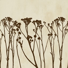 Garden Silhouette LIneup I