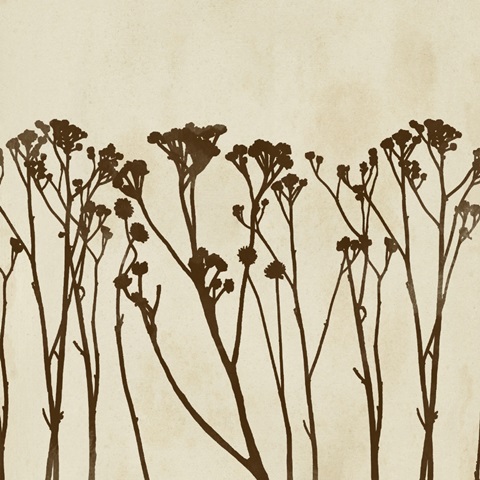 Garden Silhouette LIneup I