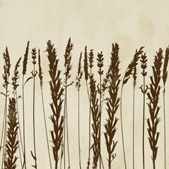 Garden Silhouette LIneup II