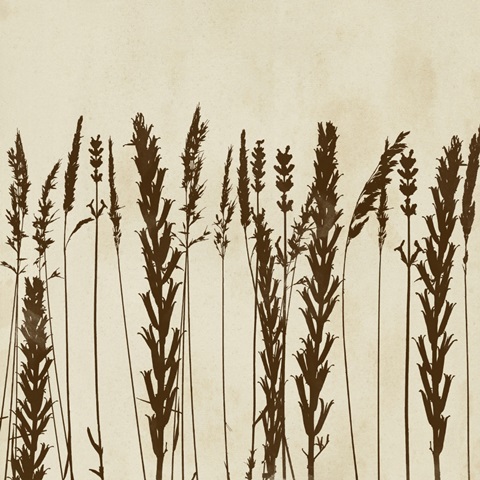 Garden Silhouette LIneup II