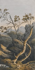 Chinese Landscape I