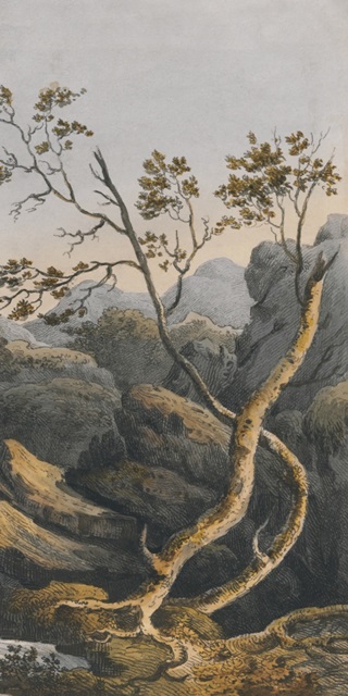 Chinese Landscape I