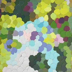 Fruit Orchards Kona Hawaii I