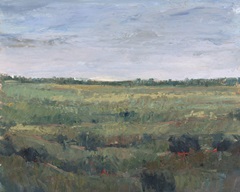 Field Study I