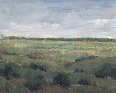 Field Study II