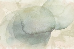 Softwash Abstract  III