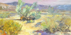 Desert Garden
