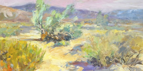 Desert Garden