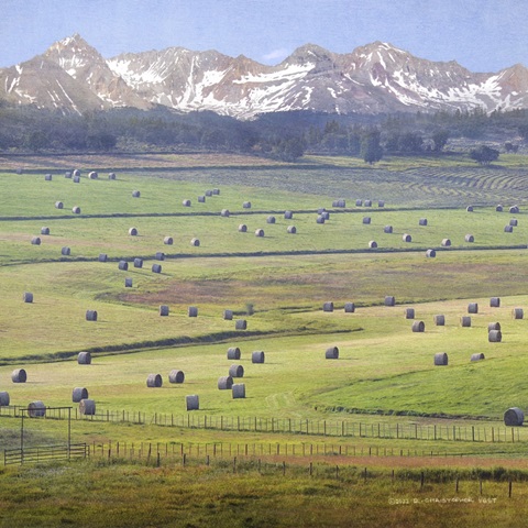 Cherry Creek Haybales