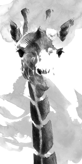 Giraffe study  II