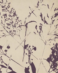 Pressed Silhouette II