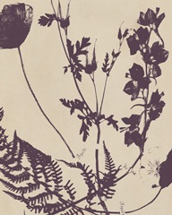 Pressed Silhouette III