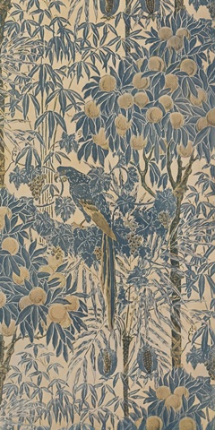 Exotic Parrot Elegance I