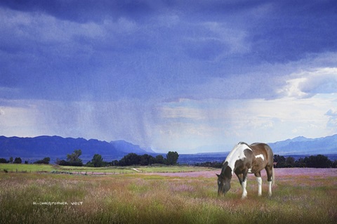 Paint Horse in Bliss