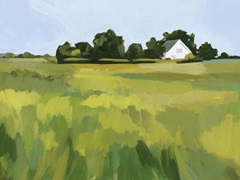 Meadow Lane II