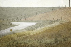 Bend in Road 29