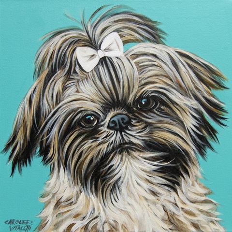Girly Shih Tzu