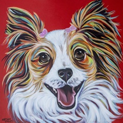 Happy Papillon