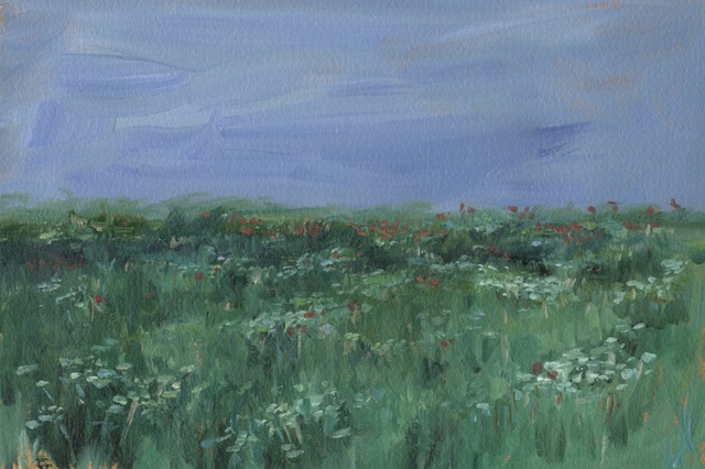 Impressionist Wildflower Field IV
