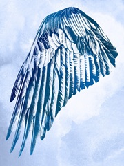 Wings in the Clouds I