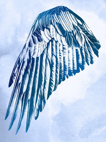 Wings in the Clouds I