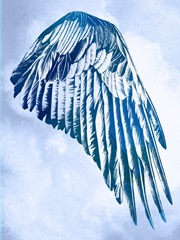 Wings in the Clouds II