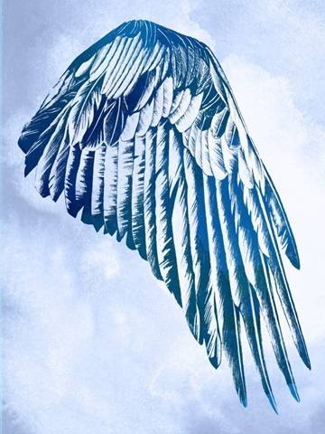 Wings in the Clouds II