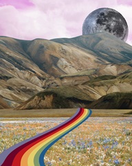 Rainbow Field I