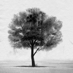 Stoic Tree II