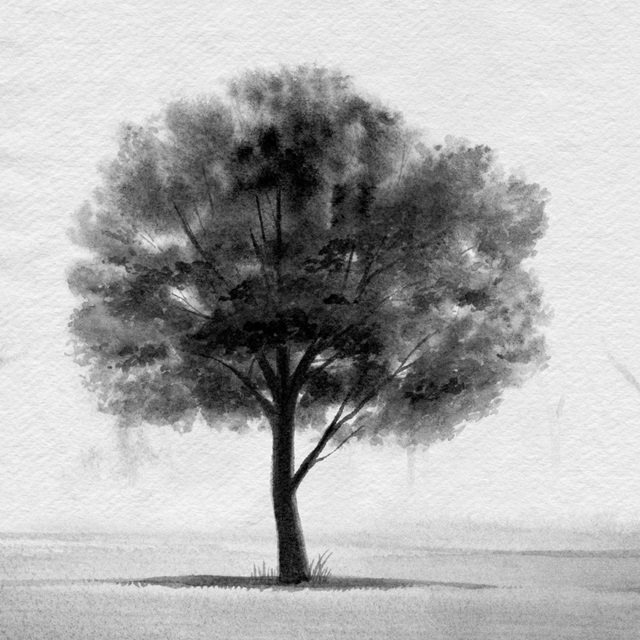 Stoic Tree II